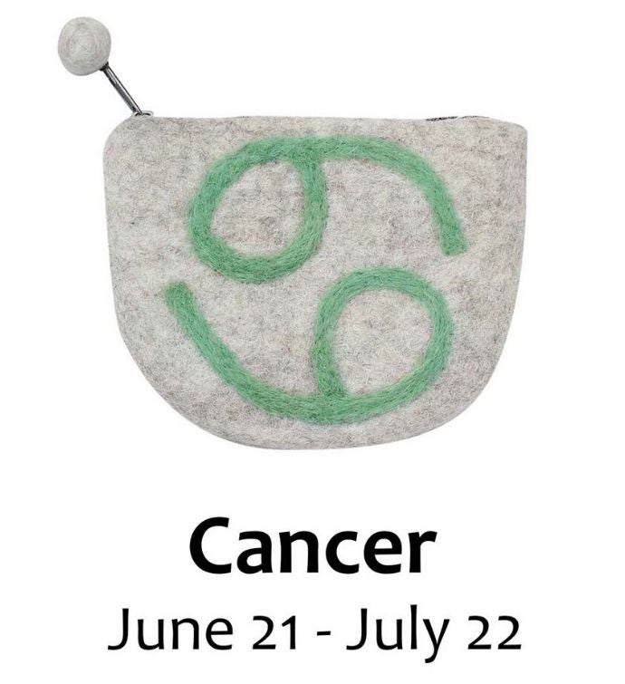 Handmade Felt Zodiac Purse