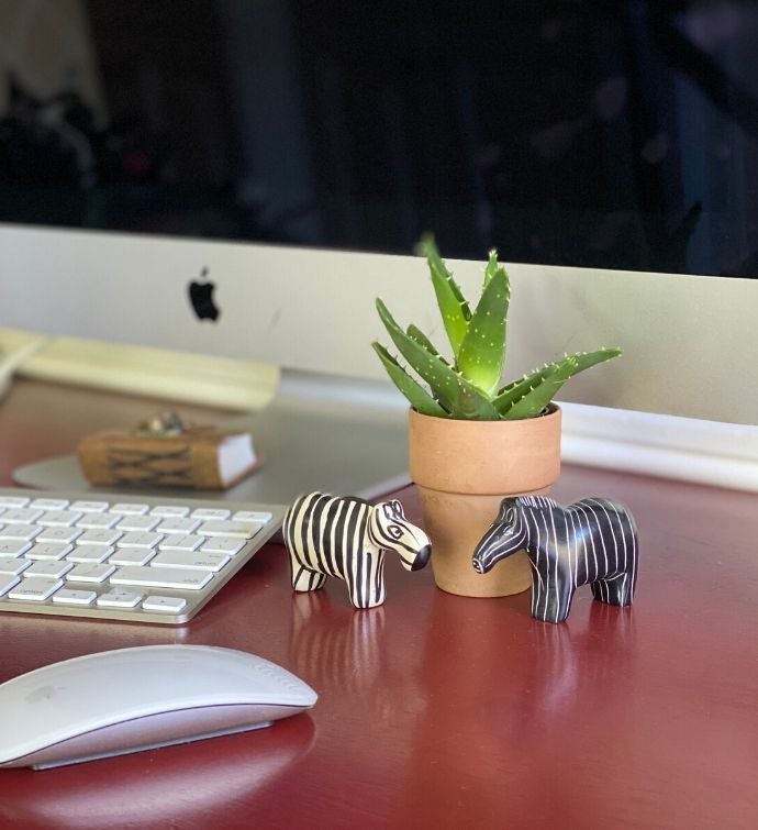 Hand-carved Yin-yang Zebra Soapstone Statues