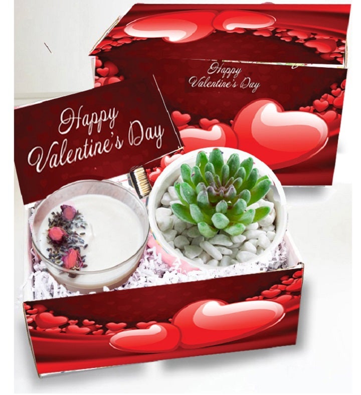 Valentine Succulent and Spa Box