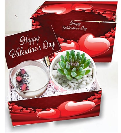 Valentine Succulent and Spa Box