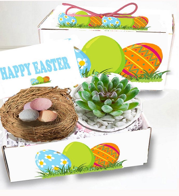 Easter Succulent Spa Gift