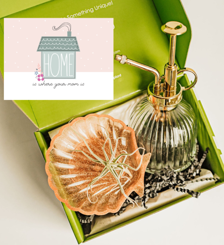 'Home Is Where Your Mom Is' Succulent Gift Box