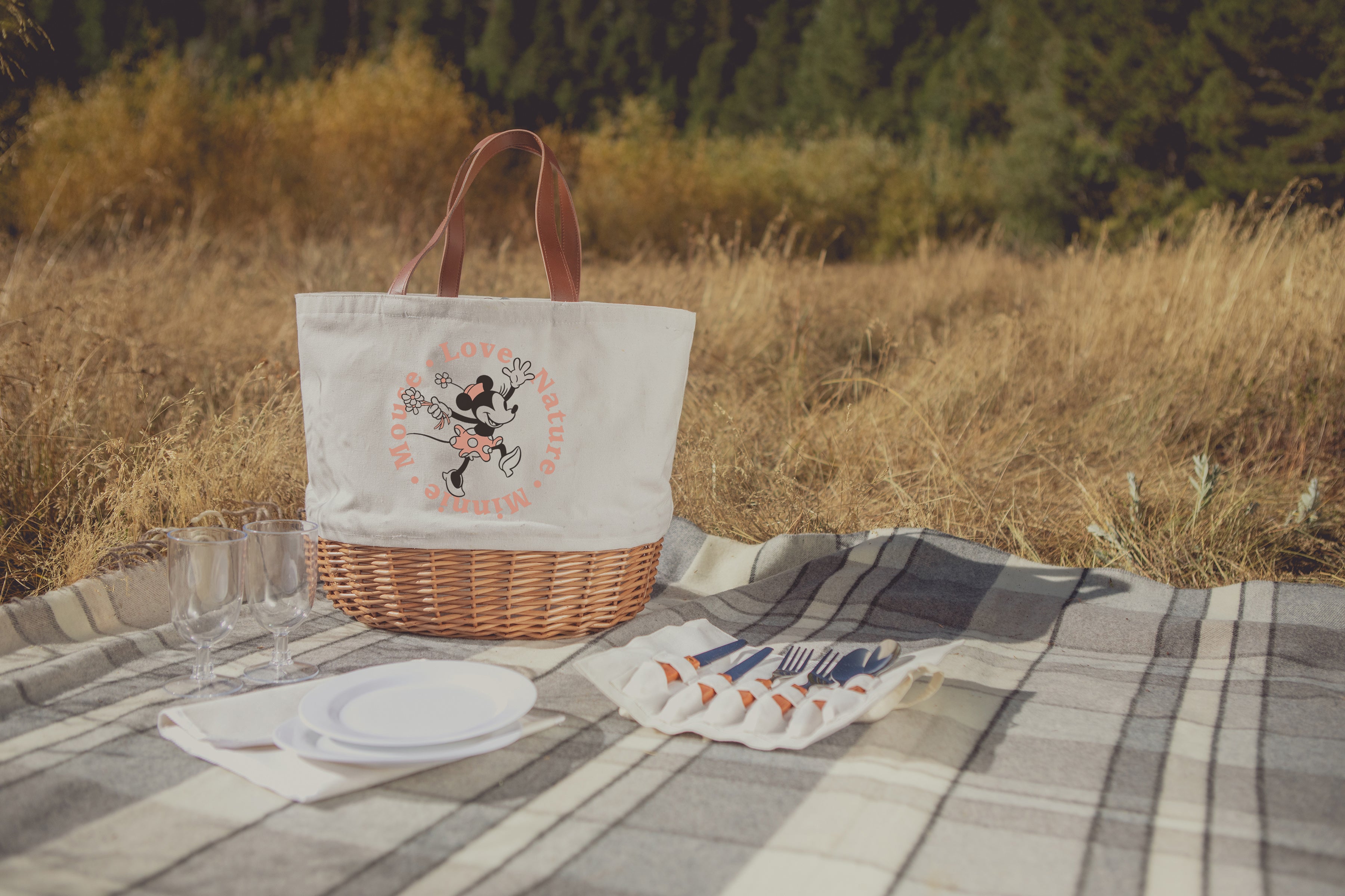 Disney Promenade Picnic Basket