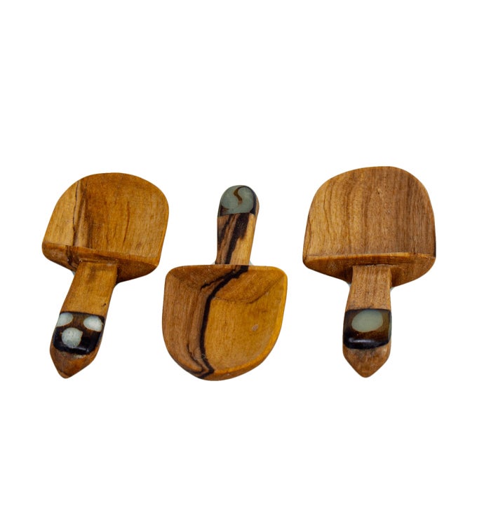 Petite Olive Wood Scoop Set