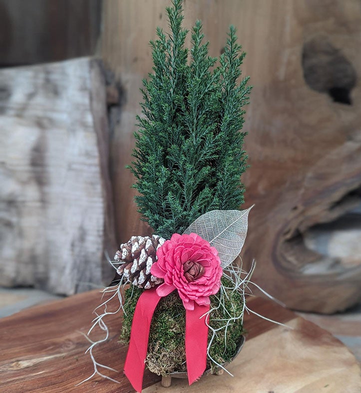 Holiday Centerpiece Poinsettia In A Coconut Shell Pot on a Driftwood Base