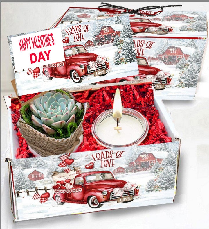Loads of Love Succulent and Spa Box