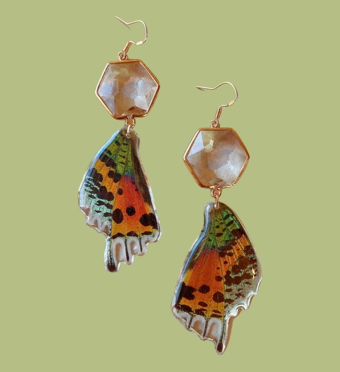 Real Butterfly Wing And Crystal Earrings