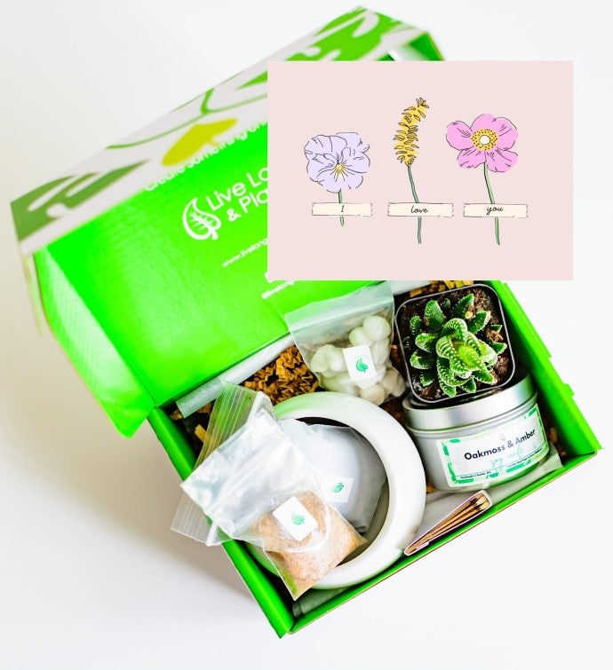 I Love You Floral Succulent & Spa Gift Box