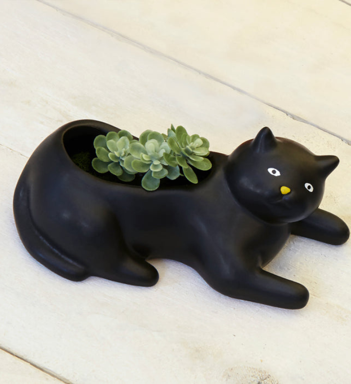 Cosmo The Black Cat Planter