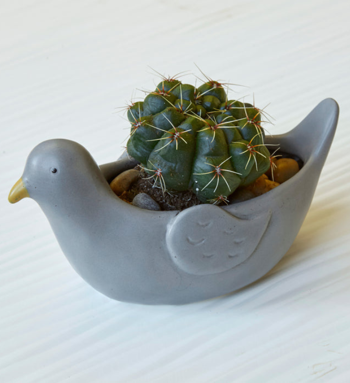 Pepper The Pigeon Planter