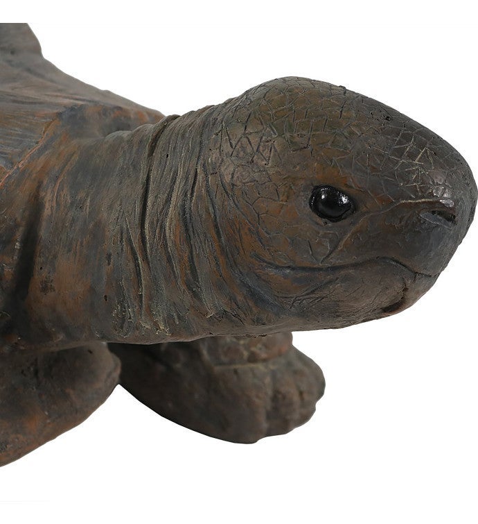 The Tortoise Indoor Outdoor Garden Statue