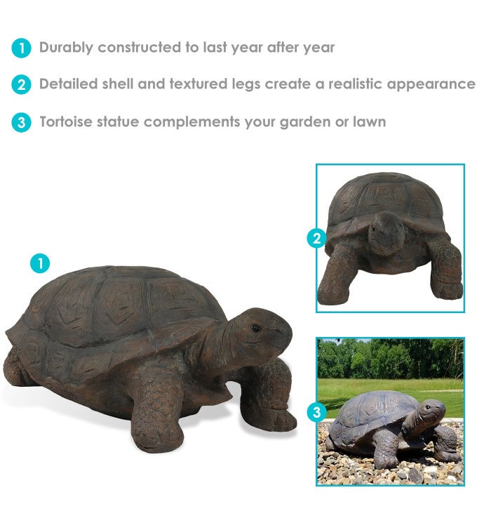 The Tortoise Indoor Outdoor Garden Statue