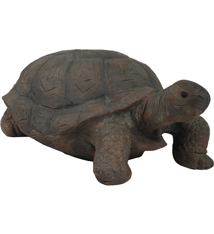 The Tortoise Indoor Outdoor Garden Statue