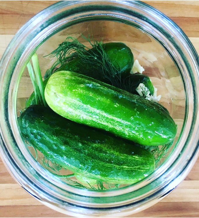 Lacto pickle Kit