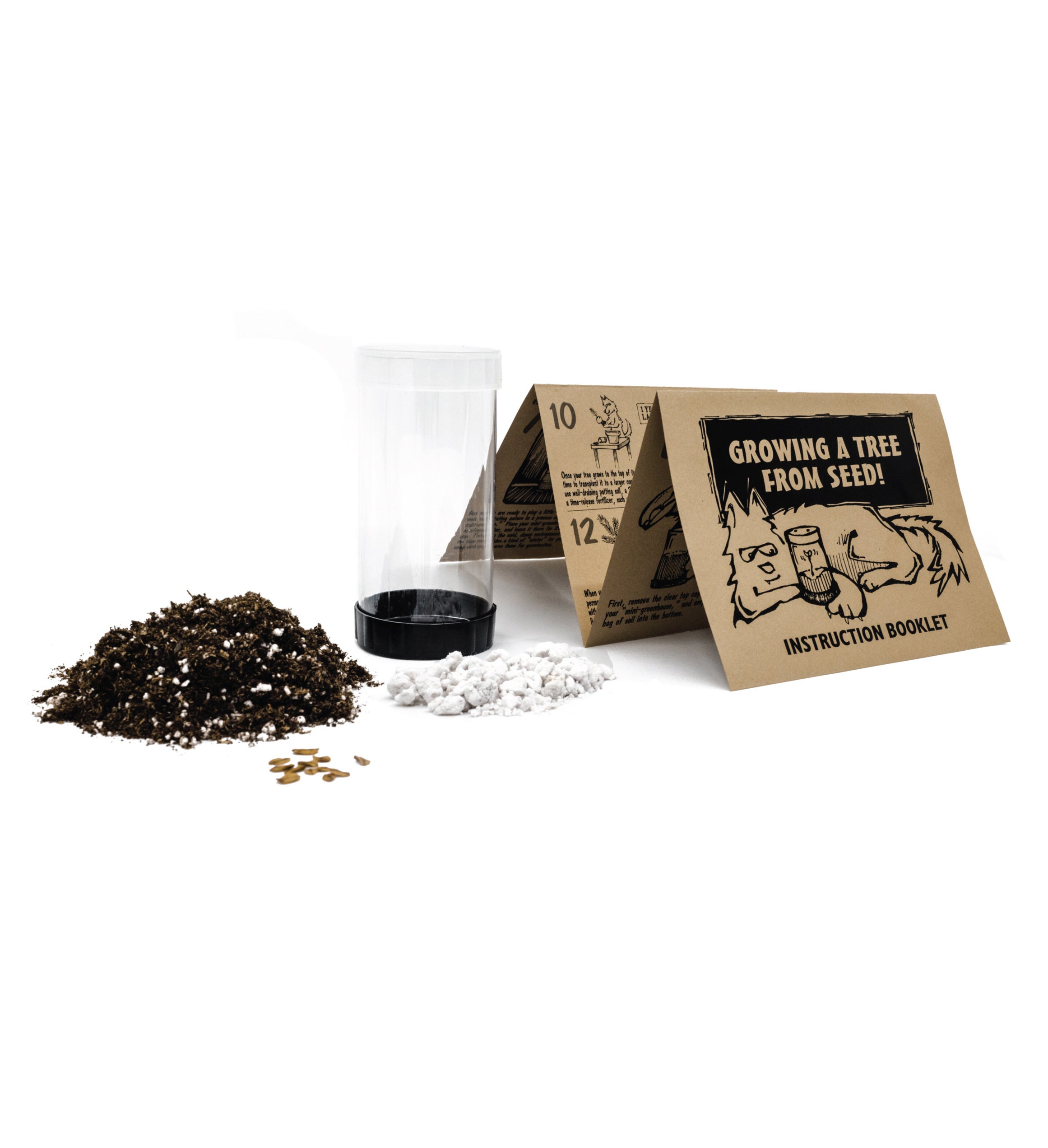 Giant Sequoia Seed Grow Kit