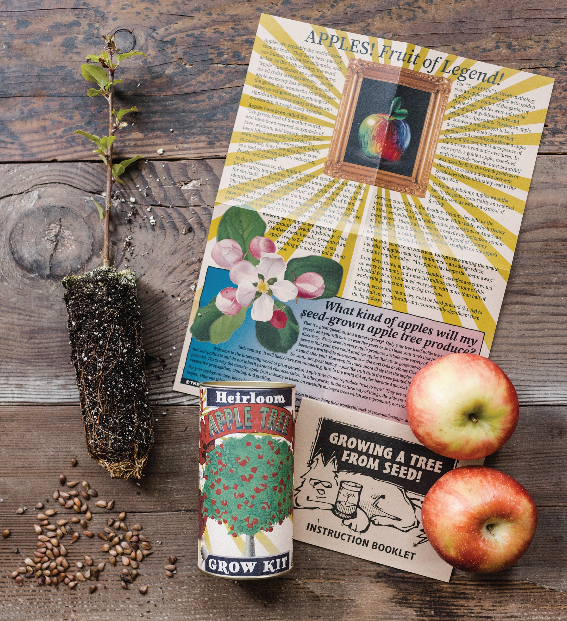 Apple Tree Seed Grow Kit