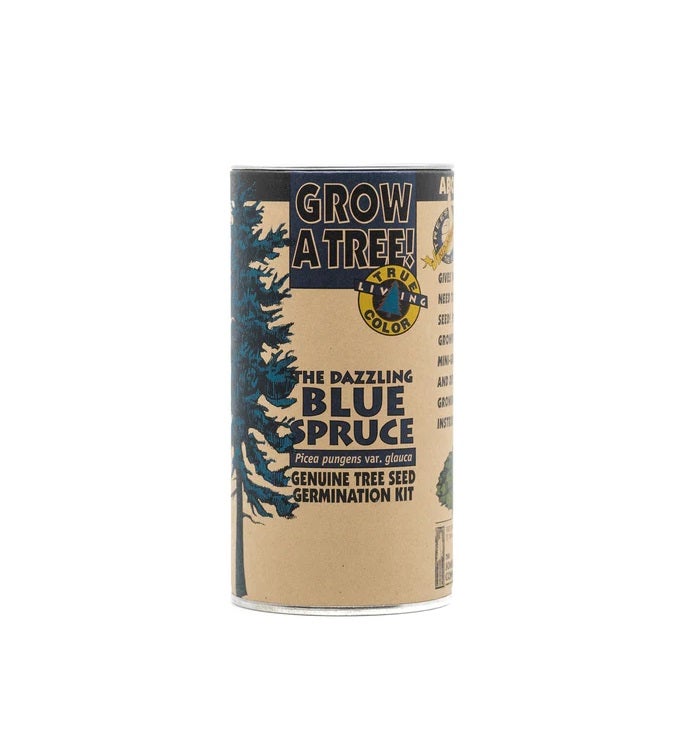 Colorado Blue Spruce Seed Grow Kit