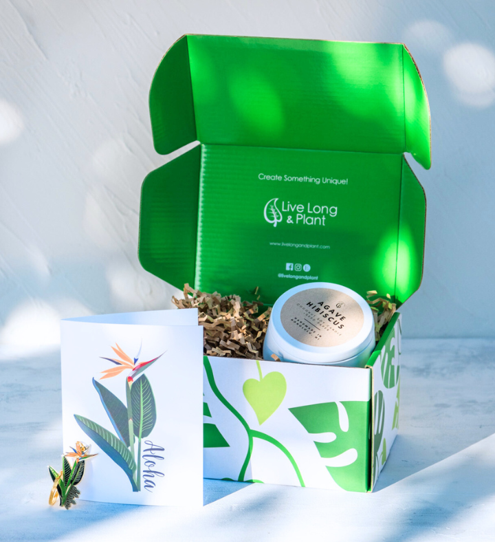 Aloha Candle & Spa Gift Box