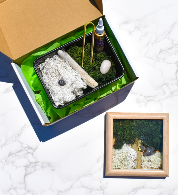 Congrats Diy Moss Wall Art Kit, Mossy Tree