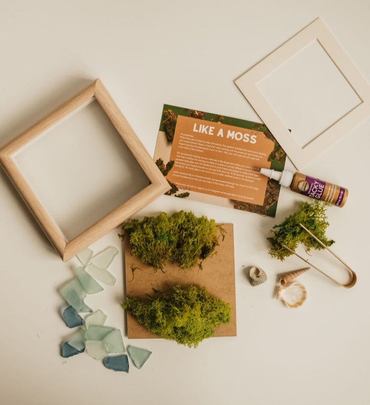 Aloe You Vera Much Diy Moss Wall Art Kit, Mossy Tree