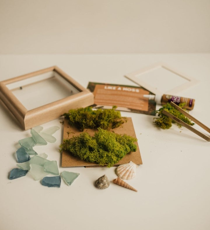 Aloe You Vera Much Diy Moss Wall Art Kit, Mossy Tree