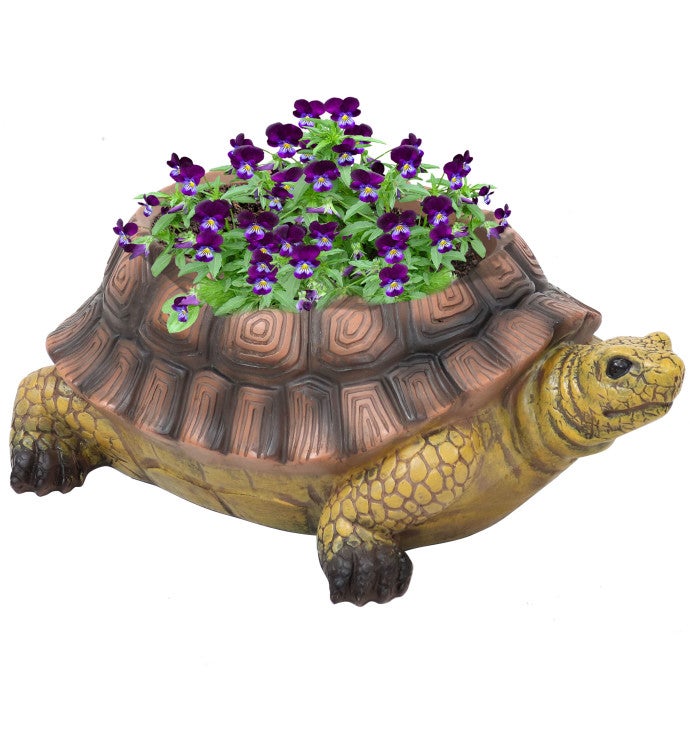 Teddy The Turtle Indoor/outdoor Polyresin Garden Planter - 11-inch