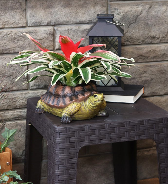 Teddy The Turtle Indoor/outdoor Polyresin Garden Planter - 11-inch