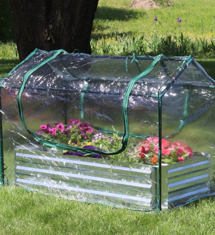 Steel Raised Garden Bed And Mini Greenhouse Kit - Clear