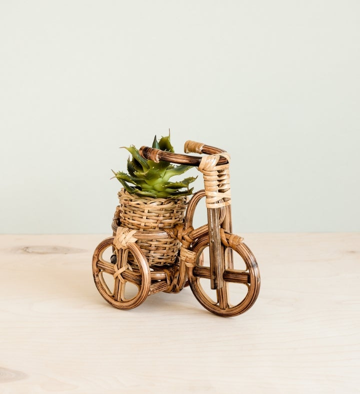 Bicycle Rattan Planter