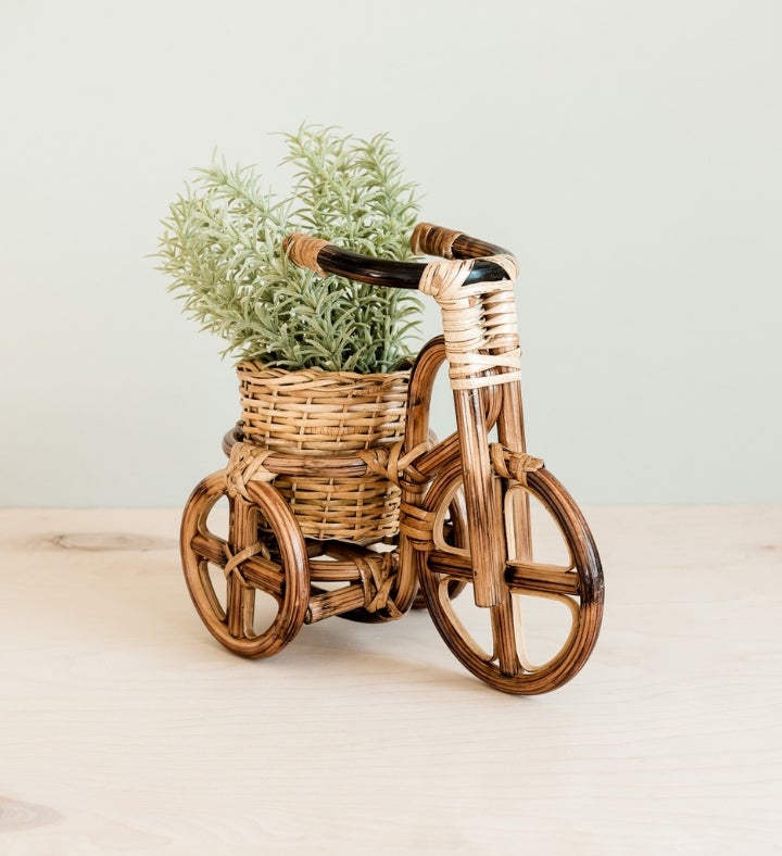 Bicycle Rattan Planter