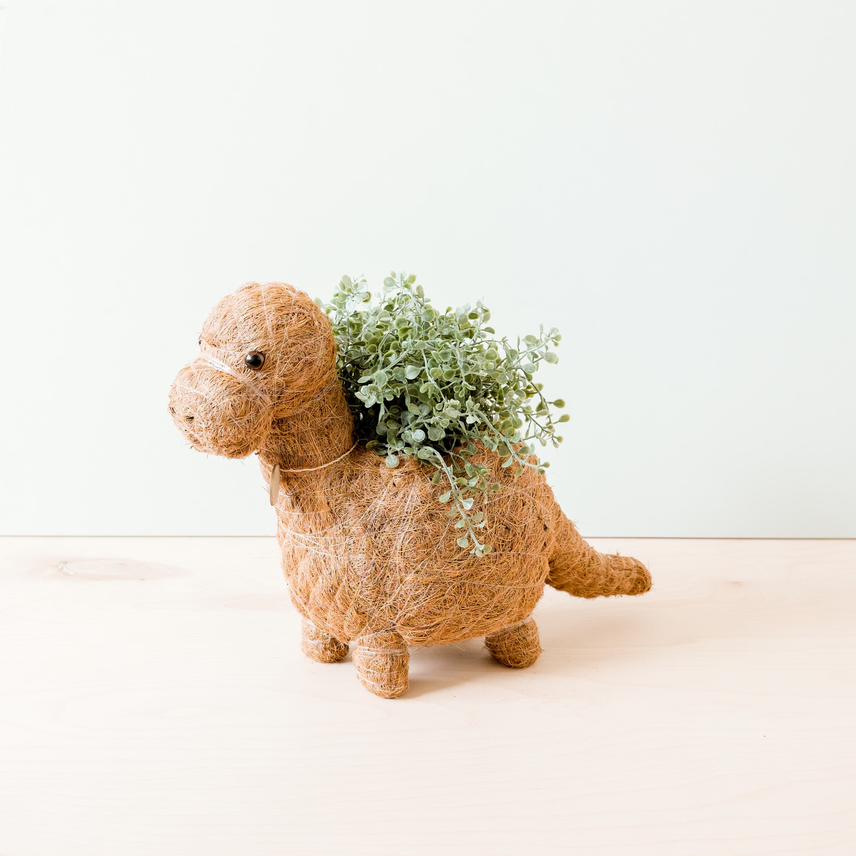 Dinosaur Planter   Coco Coir Pots