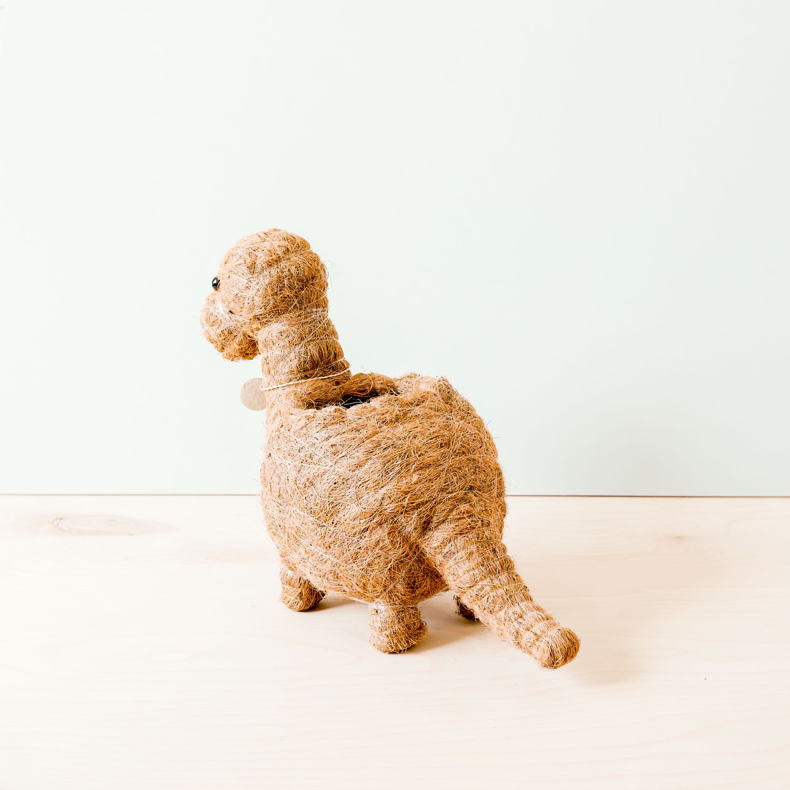 Dinosaur Planter   Coco Coir Pots