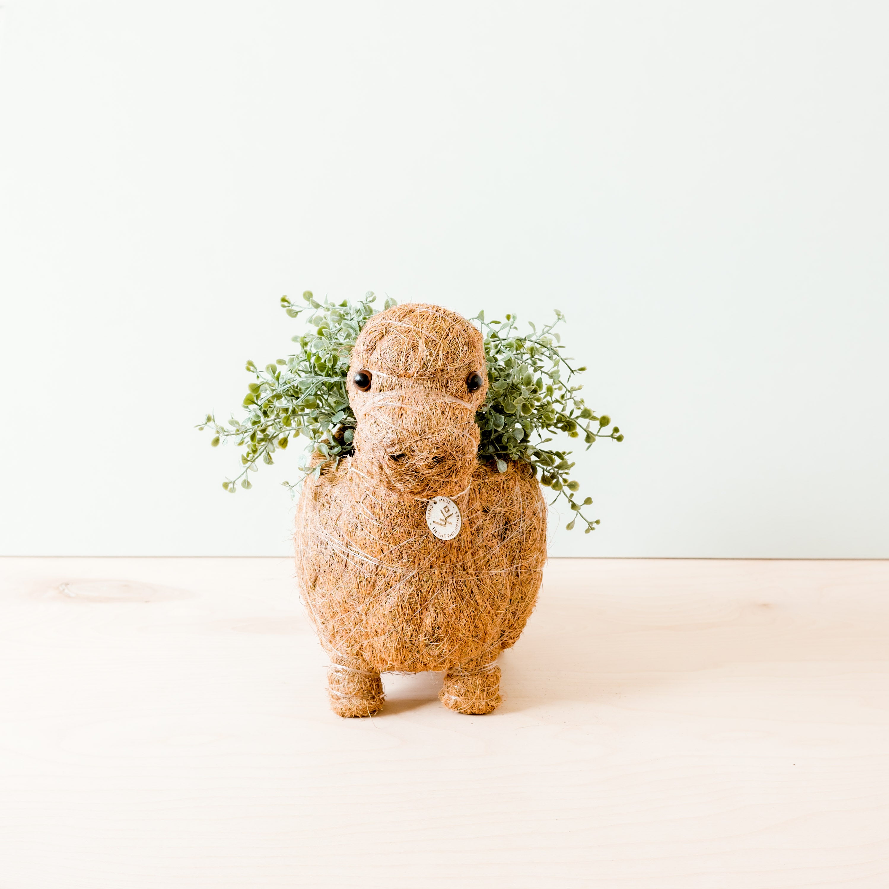 Dinosaur Planter   Coco Coir Pots