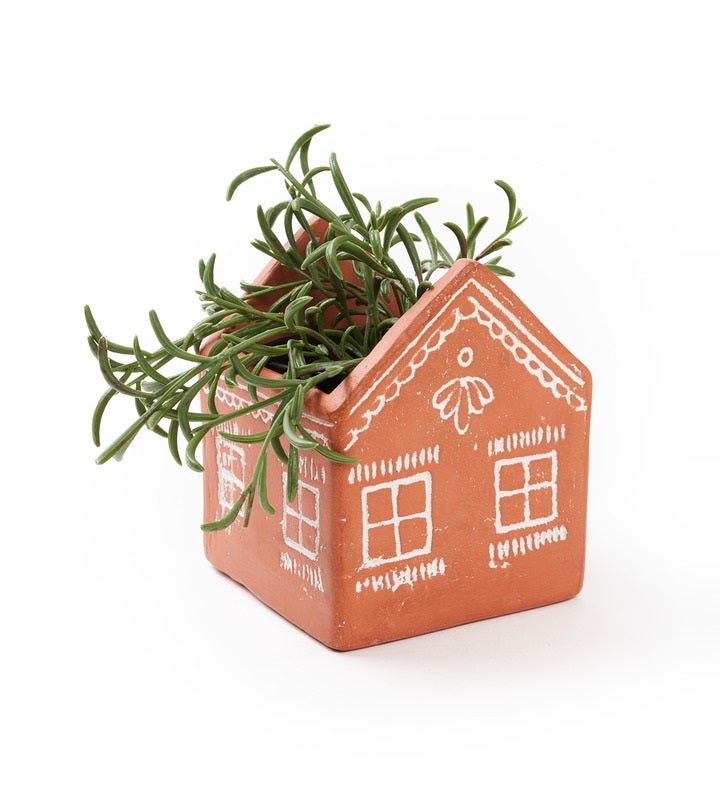 Vasanta Terracotta Planter With Drainage