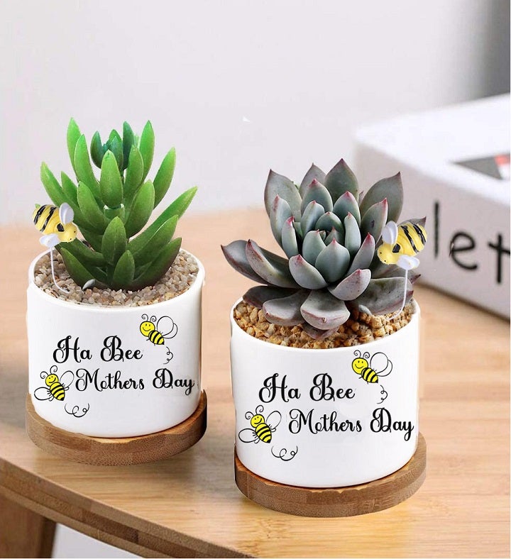 Mother's Day Ceramic Planter With Succulent