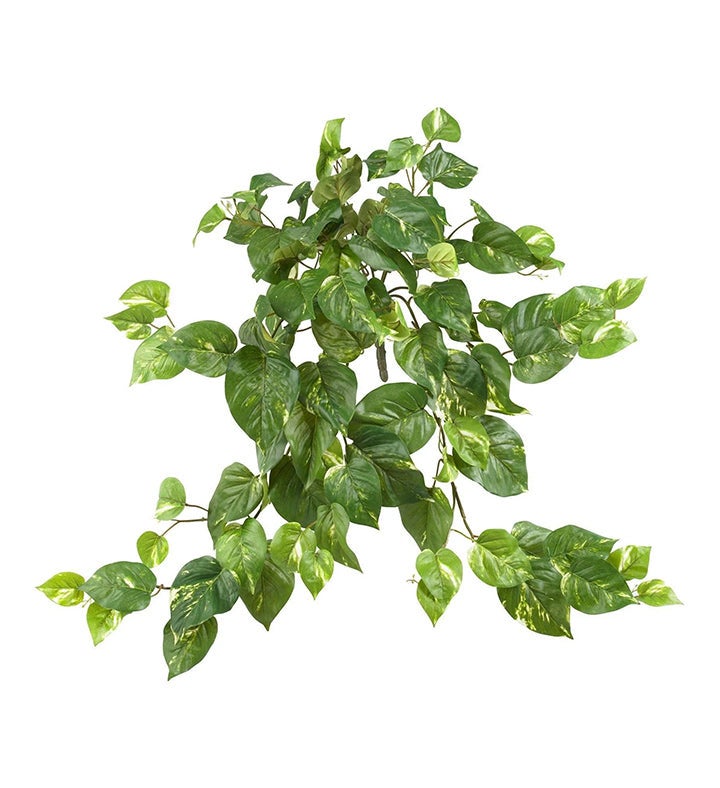 Nearly Natural 30” Pothos Hanging Bush  set Of 3