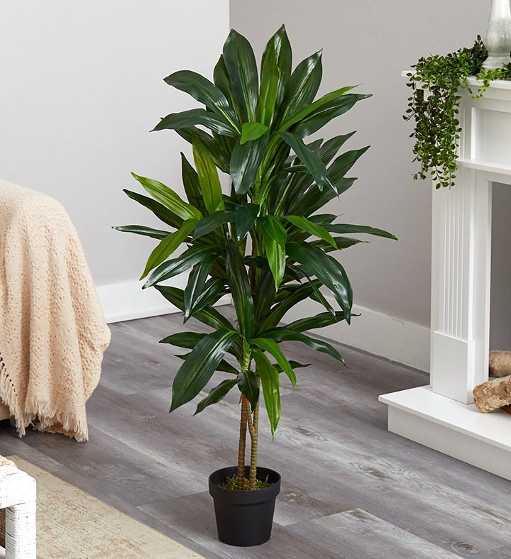 Nearly Natural 48" Dracaena Silk Plant  real Touch