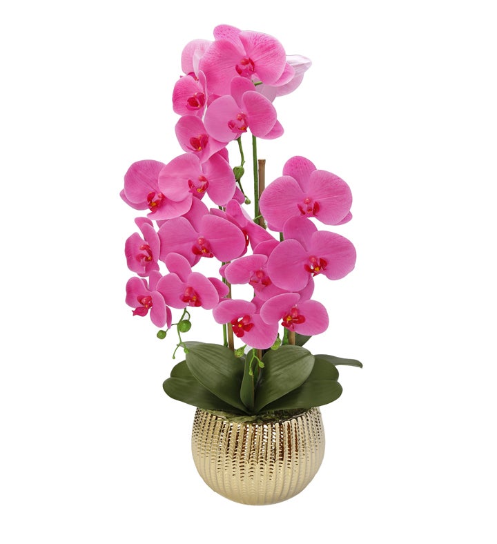 Orchid Plant In Round Gold Striped Design Vase