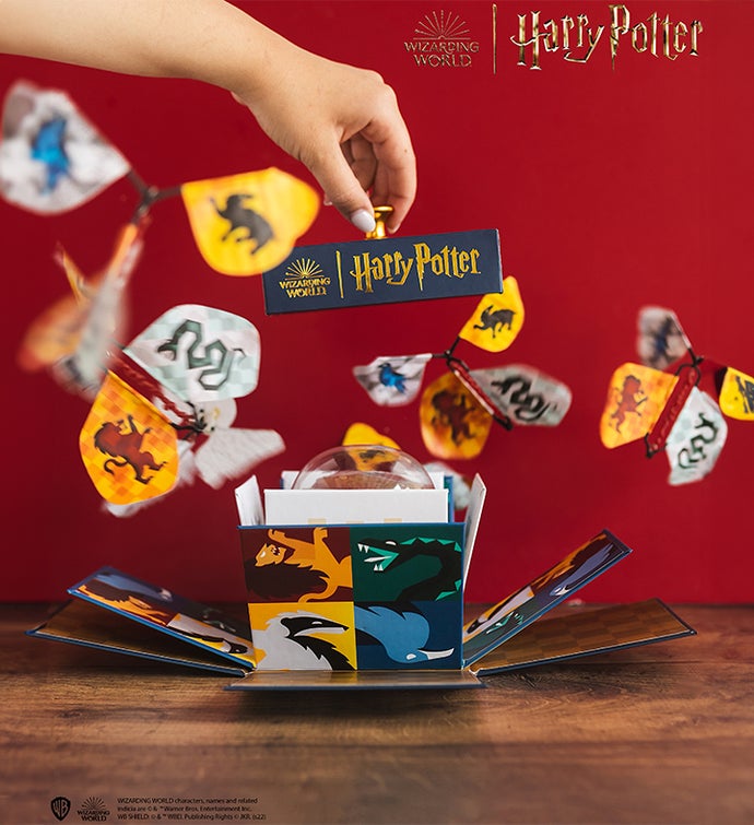 Harry Potter Hogwarts Explosion Box Chocolate Cake