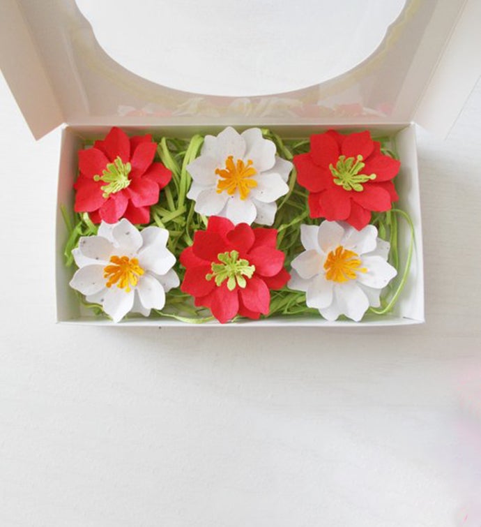 Seeded Paper Flower and Herb Set