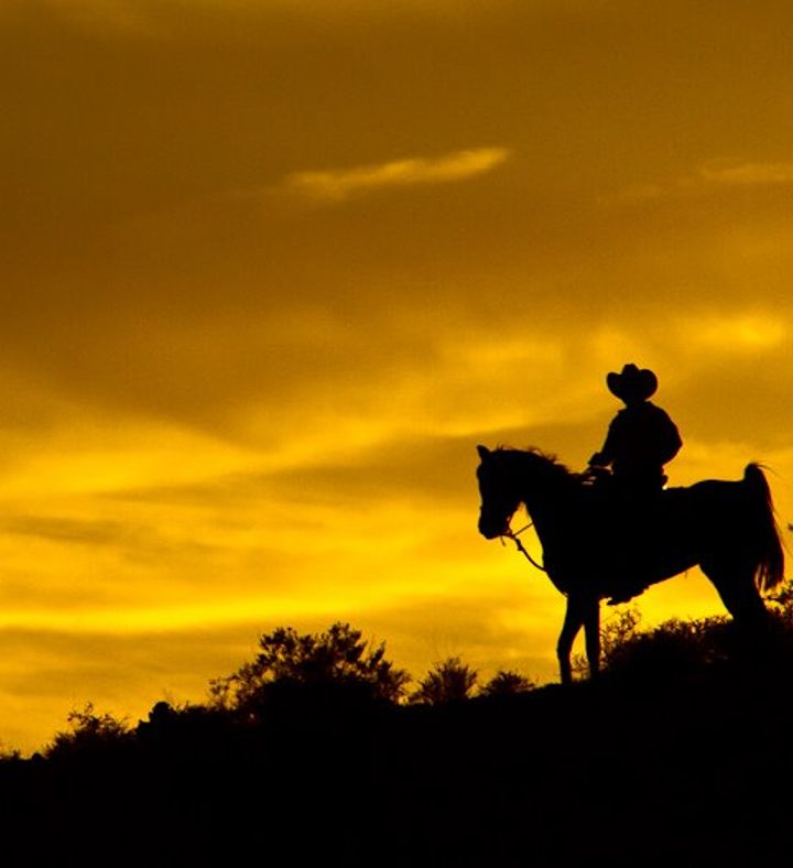 Sunset Horseback Ride With Dinner For Two - Nevada