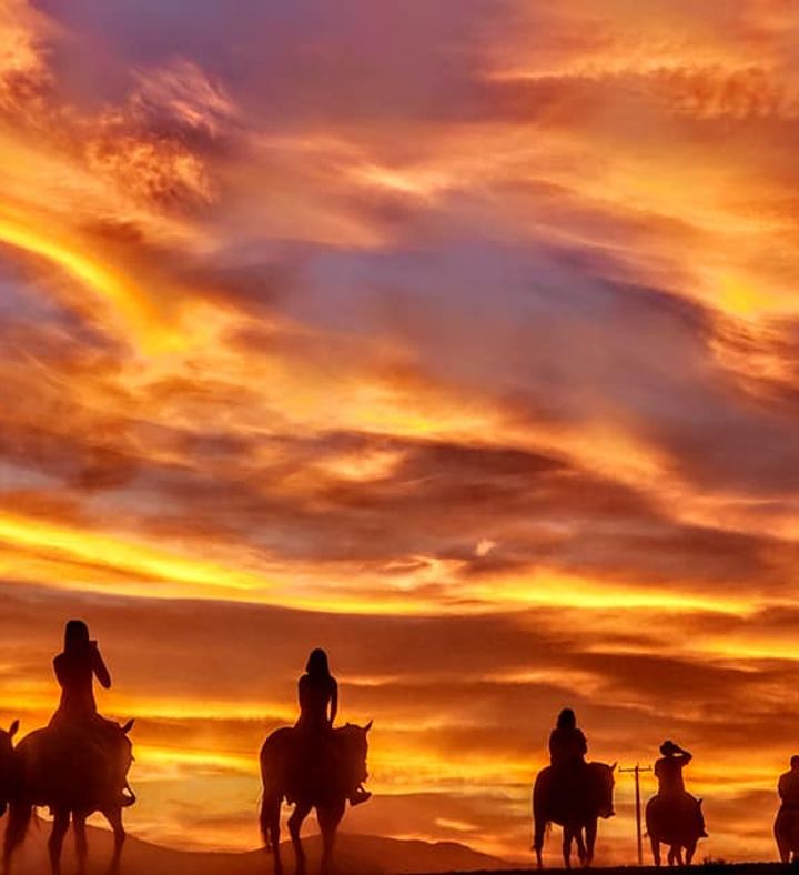 Sunset Horseback Ride With Dinner For Two - Nevada