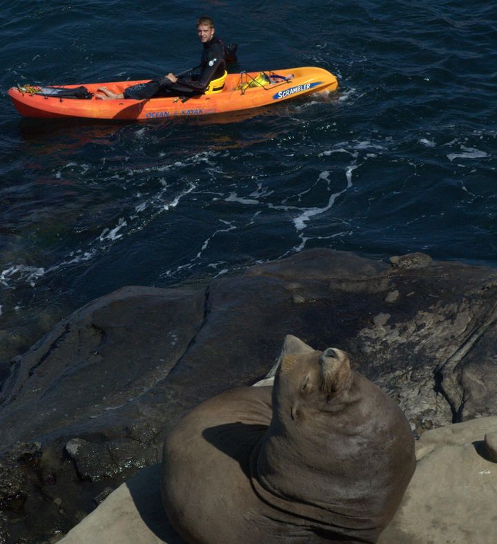 La Jolla Sea Caves Kayak Tour