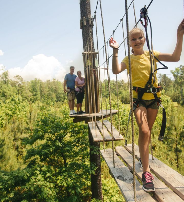 Treetop Adventure With Go Ape