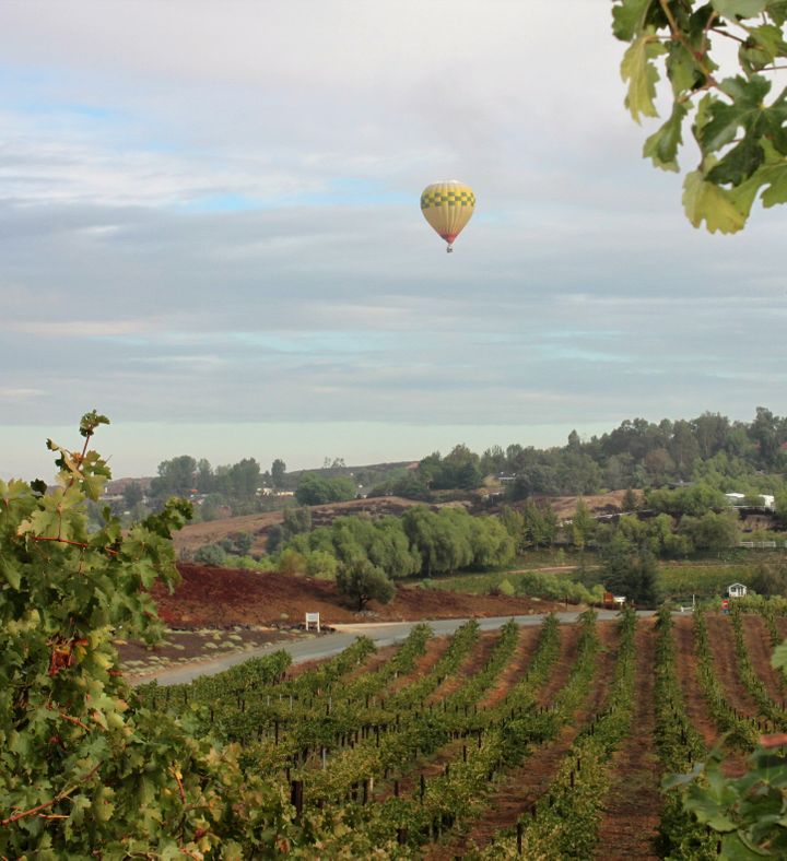 Temecula Sunrise Balloon Ride - California