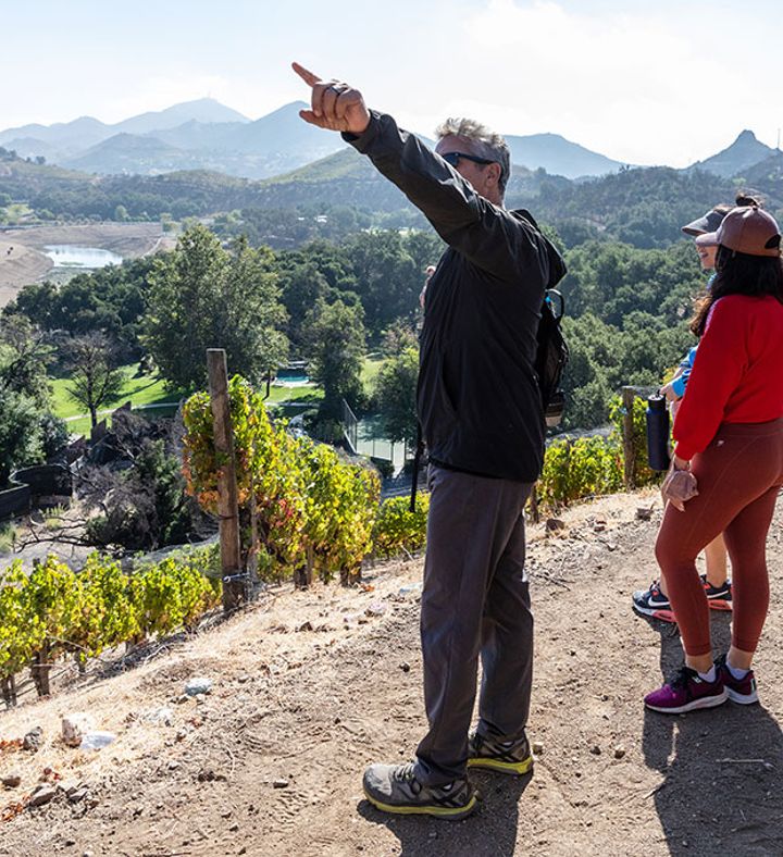 Scenic Vineyard Hike