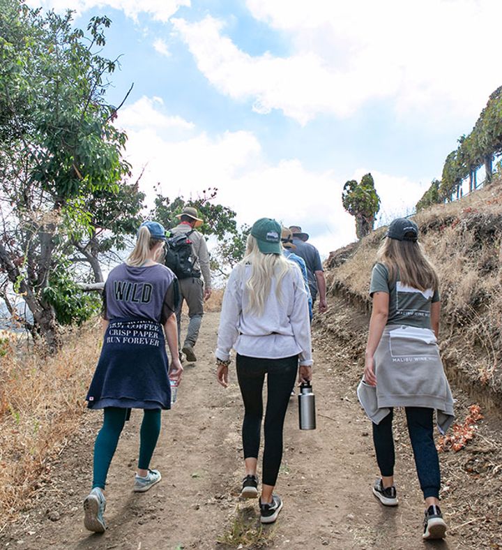 Scenic Vineyard Hike - California