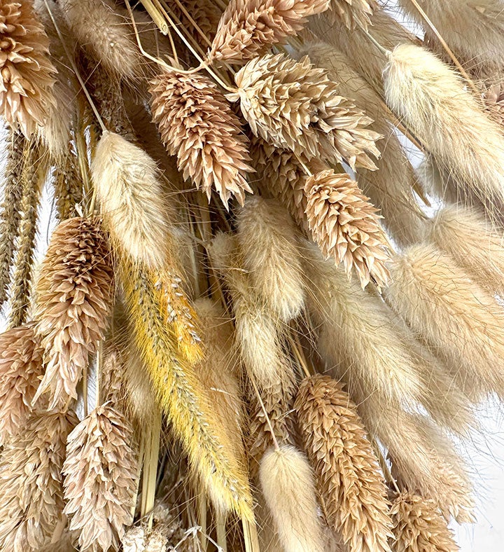Golden Preserved Dried Wheat Grass Fall Harvest Wreath 21"
