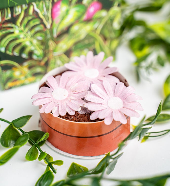 Mother's Day Garden Explosion Cake Gift Box