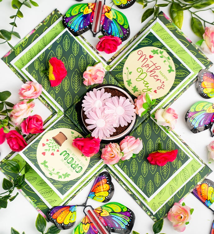Mother's Day Garden Explosion Cake Gift Box